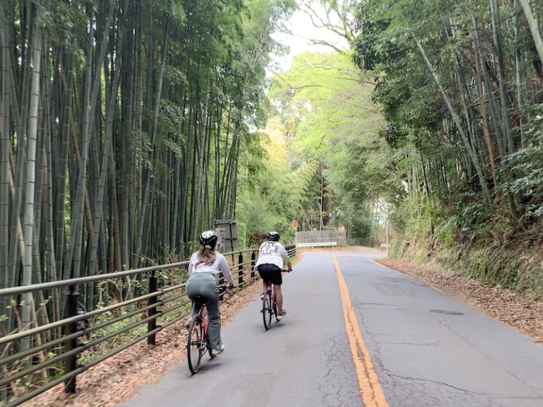 2025-04-15 14.31.27_light