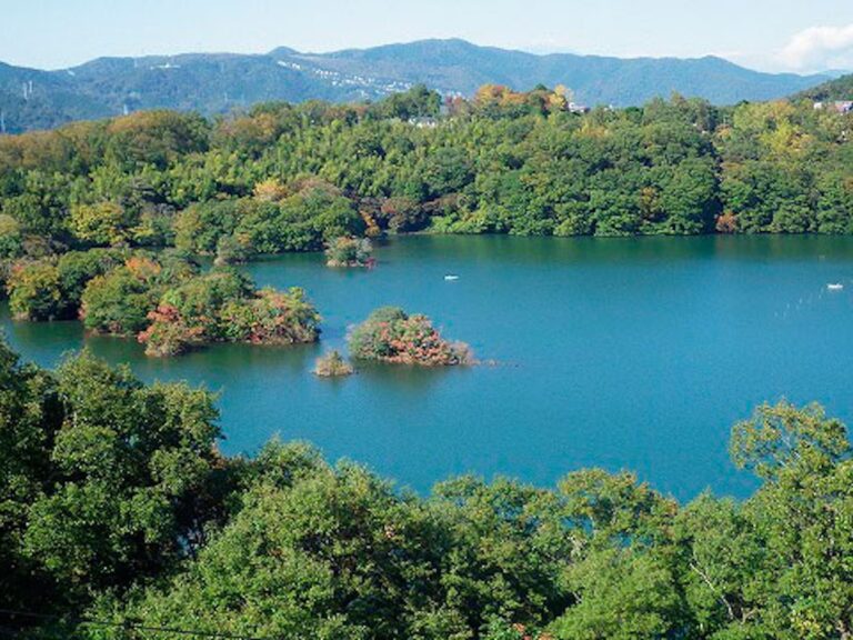 20151011ippekiko_resized